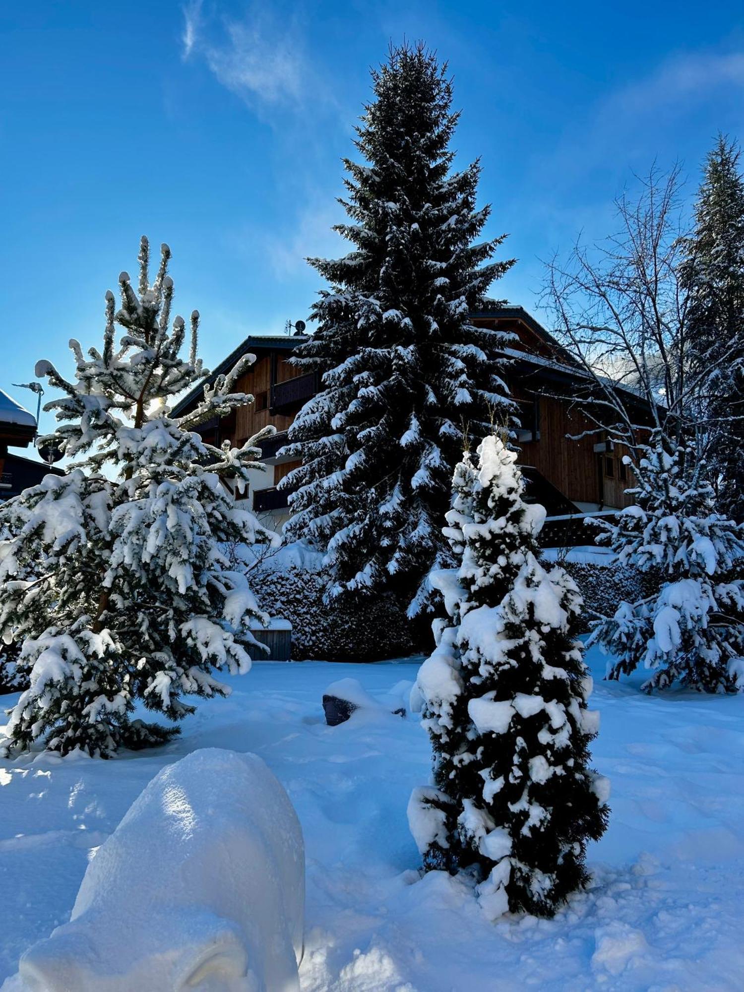 Hotel Bel'Alpe Morzine Exterior photo